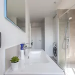 Liberation Apartment
